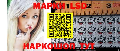 spice Кингисепп