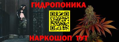 дмт Кинель