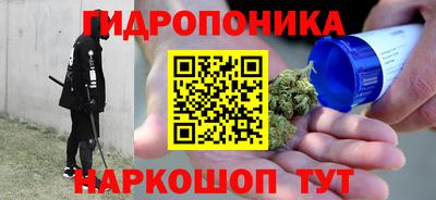дмт Кинель