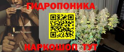 spice Кингисепп