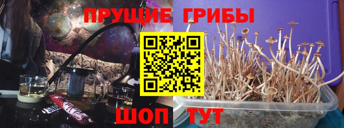 ГАШ  Героин  Канабис  NBOMe  Меф МЯУ МЯУ   КОКАИН  Лесозаводск  Alpha PVP СК кристаллы  Вход с VPN 